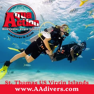coolestCarib.com Caribbean Directory